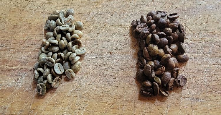 Coffee beans side by side, comparing green to freshly roasted